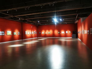 光繪匠心 山東工藝美術學院春季寫生課程師生優秀作品展（工藝美術彩燈制造）